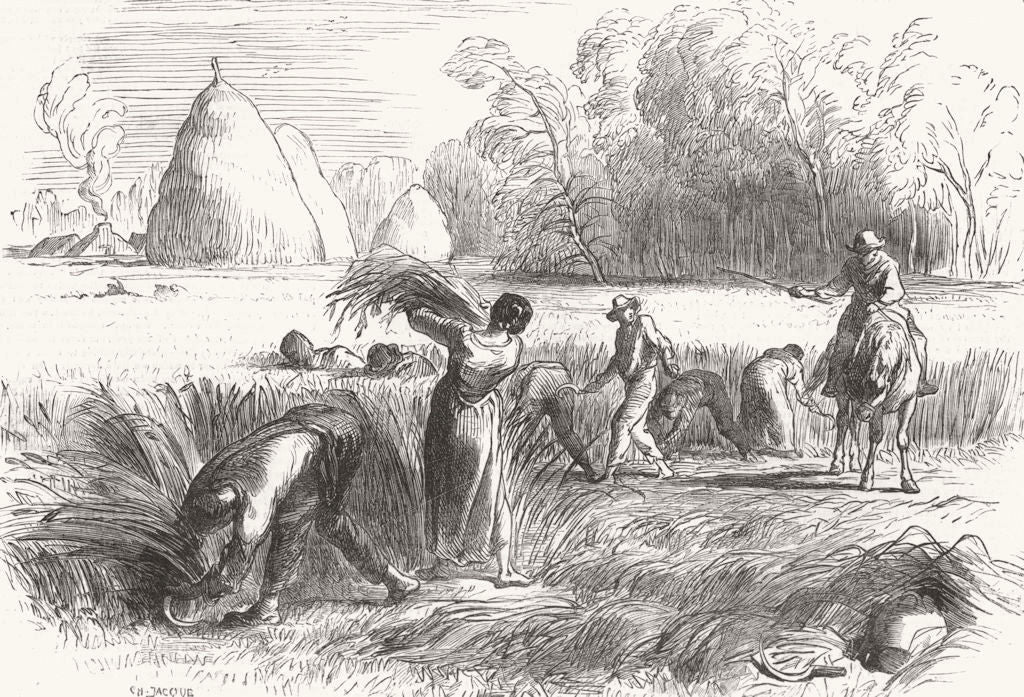 FRANCE. Harvest in France-Reaping 1851 old antique vintage print picture